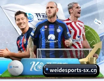 了解平台 - 体育资讯内容服务 | WEIDE SPORTS